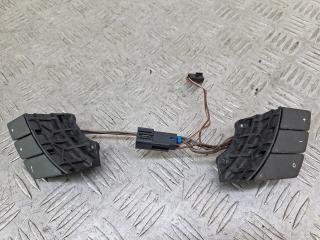 кнопки управления на руле Opel Meriva 1 поколение (A) [рестайлинг] 2007, 1.6 л., Z 16 XEP, бензин, МКПП, золотистый, минивэн, передний привод