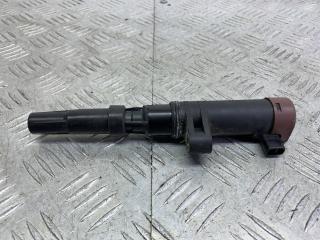 катушка зажигания Renault Megane 1 поколение [рестайлинг] (1999 - 2003), 1.4 л., K4J 710, бензин, МКПП, оливковый, хетчбэк 5 дв., передний привод, 8200405098, 216031219