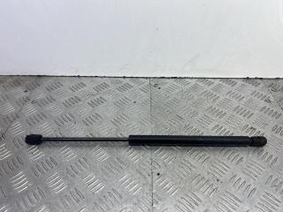 амортизатор крышки багажника (3-5 двери) Renault Scenic 1 поколение [рестайлинг] 2002, 1.6 л., K4M 700, бензин, МКПП, серебро, минивэн, передний привод