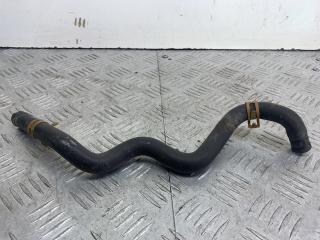 патрубок радиатора Renault Scenic 1 поколение [рестайлинг] 2002, 1.6 л., K4M 700, бензин, МКПП, серебро, минивэн, передний привод