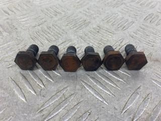 болт двигателя Peugeot 206 1 поколение [рестайлинг] (2002 - 2009), 1.4 л., KFU (ET3J4), бензин, МКПП, серебро, хетчбэк 3 дв., передний привод