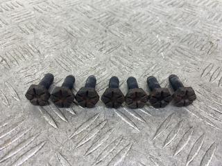 болт двигателя Renault Megane 1 поколение [рестайлинг] (1999 - 2003), бордовый, передний привод