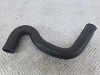 патрубок радиатора Citroen Xsara Picasso 1 поколение [рестайлинг] 2009, 1.6 л., NFU (TU5JP4), бензин, МКПП, кофейный, минивэн, передний привод