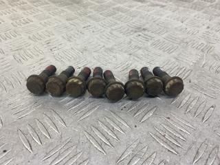 болт двигателя Jaguar XJ 2 поколение [рестайлинг] X350 1996, 4.0 л., бензин, АКПП, седан, задний привод