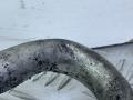 трубка кондиционера BMW 3 серия E90/E91/E92/E93 (2004 - 2010), 2.0 л., M47N 204 D4, дизель, АКПП, 692753809 - фото №7