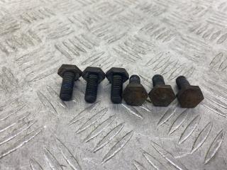 болт двигателя Opel Meriva 1 поколение (A) 2004, 1.6 л., X 16 XE, бензин, серебро, минивэн, передний привод