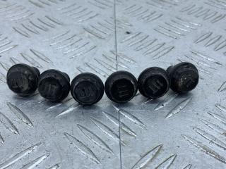 болт двигателя Kia Venga 1 поколение [рестайлинг] 2018, 1.6 л., бензин, АКПП, кофейный, хетчбэк 5 дв., передний привод