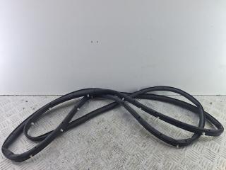 уплотнитель двери Ford Galaxy 3 поколение [рестайлинг] 2022, 2.0 л., дизель, АКПП, белый, минивэн, передний привод