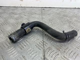 патрубок радиатора Citroen Xsara Picasso 1 поколение 2004, 1.8 л., 6FZ (EW7J4), бензин, МКПП, серый, передний привод