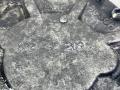 ТНВД Volkswagen Sharan 1 поколение [2-й рестайлинг] (2003 - 2010), 1.9 л., AUY, дизель, МКПП, чёрный, передний привод, 038145209C - фото №6