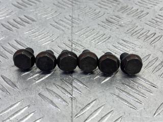 болт двигателя Skoda Octavia 2 поколение (A5) [рестайлинг] 1Z5 2008, 1.6 л., BSE, бензин, 5МКПП, серый, универсал, передний привод