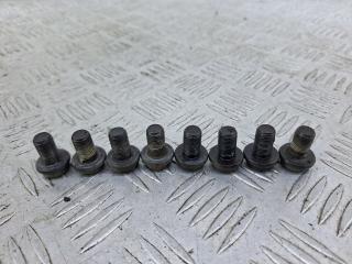 болт двигателя Hyundai Santa Fe 2 поколение (CM) 2007, 2.2 л., D4EB, дизель, АКПП, серый, внедорожник 5 дв., полный привод