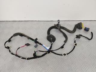 дверная проводка Renault Laguna 3 поколение 2011, 2.0 л., M9R 802, дизель, МКПП, универсал, 241261967R