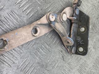 петля капота левая Volkswagen Lupo 1 поколение (1998 - 2005), 1.4 л., AMF, дизель, розовый, хетчбэк 3 дв., передний привод