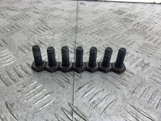 болт двигателя Renault Scenic 1 поколение [рестайлинг] 2002, 1.6 л., K4M 700, бензин, МКПП, серебро, минивэн, передний привод