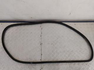 уплотнитель двери Opel Vectra C (2002 - 2005), 218332872, 24447204