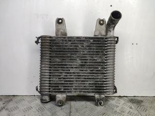 интеркулер Kia Carnival 1 поколение [рестайлинг] (2002 - 2006), 2.9 л., дизель, передний привод, 55313550