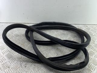 уплотнитель двери Hyundai Grand Santa Fe 1 поколение 2015, 2.2 л., D4HB, дизель, АКПП, внедорожник 5 дв., полный привод