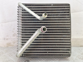 испаритель кондиционера Opel Meriva 1 поколение (A) [рестайлинг] 2007, 1.6 л., Z 16 XEP, бензин, МКПП, золотистый, минивэн, передний привод, 4258814, M3018001, 0014316, S2107001