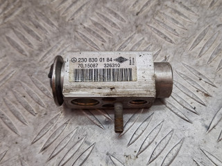 расширительный клапан кондиционера Mercedes-Benz C-Класс W203/S203/CL203 [рестайлинг] 2006, 3.2 л., дизель, АКПП, голубой, универсал, задний привод, 2308300184