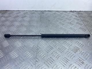 амортизатор крышки багажника (3-5 двери) Renault Scenic 1 поколение [рестайлинг] 2002, 1.6 л., K4M 700, бензин, МКПП, серебро, минивэн, передний привод, E48080