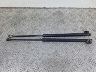 амортизатор крышки багажника (3-5 двери) Renault Scenic 1 поколение [рестайлинг] (1999 - 2003), 1.6 л., K4M 701, бензин, АКПП, минивэн, 7700430022