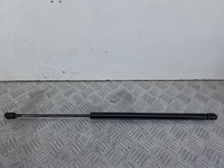 амортизатор капота Renault Scenic 1 поколение [рестайлинг] (1999 - 2003), 1.6 л., K4M 701, бензин, АКПП, минивэн, 7700828454