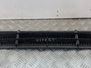 заглушка (решетка) в бампер Peugeot Expert 1 поколение 2001, 1474596077