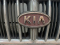 решетка радиатора Kia Carens 1 поколение 2001, 1.8 л., бензин, МКПП, светло-кофейный, передний привод - фото №4