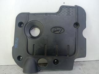 декоративная крышка двигателя Hyundai Santa Fe 2 поколение (CM) 2007, 2.2 л., D4EB, дизель, АКПП, серый, внедорожник 5 дв., полный привод