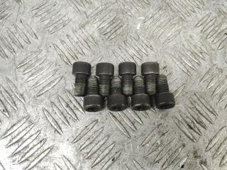 болт двигателя Nissan X-Trail T31 (2007 - 2011), 2.0 л., M9R, дизель, МКПП, передний привод