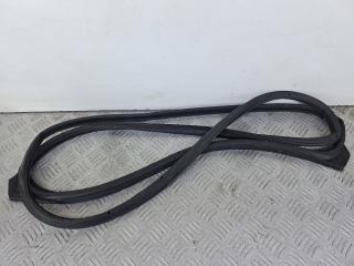 уплотнитель двери Hyundai H-1 Grand Starex 2008, 2.5 л., дизель, МКПП, белый, минивэн, задний привод