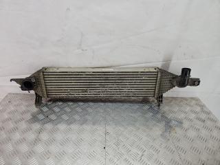 интеркулер Nissan Qashqai J10 [рестайлинг] 2012, 1.6 л., R9M, дизель, МКПП, белый, внедорожник 5 дв., полный привод, 14461BB50A, Y8396003