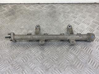 топливная рампа Hyundai Getz 1 поколение [рестайлинг] 2006, 1.3 л., бензин, МКПП, серебро, хетчбэк 3 дв., передний привод