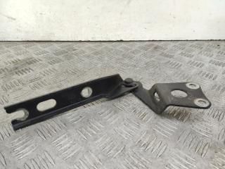 петля капота правая Skoda Yeti 1 поколение (2009 - 2014), бензин, МКПП, коричневый, S315MC, 5L0823302D, KA8818, KP1PL