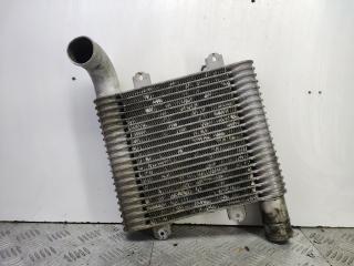 интеркулер Kia Carens 1 поколение [рестайлинг] 2004, 2.0 л., D4EA, дизель, МКПП, бордовый, минивэн, передний привод, 28271-27350