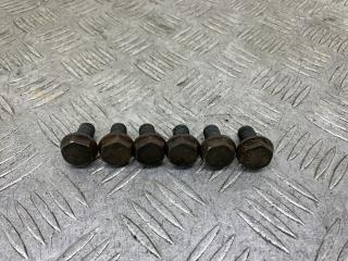 болт двигателя Volkswagen Passat B6 2009, 1.4 л., CAXA, бензин, 6МКПП, голубой, универсал, передний привод