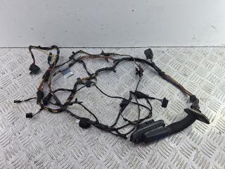 дверная проводка BMW X6 E71/E72 E71 (2007 - 2012), 4.4 л., N63 B44 A, бензин, АКПП, внедорожник 5 дв., полный привод, 920784303