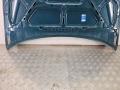 капот Daewoo Rezzo KLAU 2001, 2.0 л., T20SED, бензин, МКПП, бирюзовый, минивэн, передний привод - фото №13