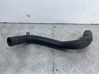 патрубок радиатора Renault Scenic 1 поколение [рестайлинг] 2002, 1.6 л., K4M 700, бензин, МКПП, серебро, минивэн, передний привод