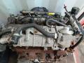 двигатель IVECO Daily 4 поколение 2007, 3.0 л., 6МКПП, белый, 71769669, F1C - фото №7