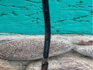 рычаг передний левый IVECO Daily 3 поколение 50с14 2006, 3.0 л., F1CE0481A, дизель, 6МКПП, желтый, микроавтобус, задний привод, 93809441