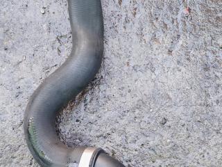 патрубок радиатора BMW 3 серия E90/E91/E92/E93 E90 2007, 2.0 л., N46B20BX, бензин, 6МКПП, sparkling graphite, седан, 17127531769