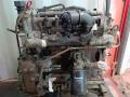 двигатель IVECO Daily 4 поколение 2007, 3.0 л., 6МКПП, белый, 71769669, F1C - фото №3