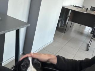 Bluetooth антенна 