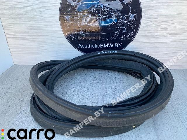 уплотнитель BMW X5 E70 2007, 3.0 л., дизель, АКПП, внедорожник 5 дв. - фото №1