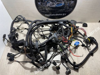 проводка двигателя BMW 2012, 2.5 л., дизель, АКПП, универсал, 12518509130, 12518509131, 8508654, 8509130, 8509131