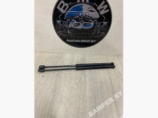 амортизатор капота BMW X5 E70 2007, 3.0 л., дизель, АКПП, внедорожник 5 дв., 51327148346, 7148346
