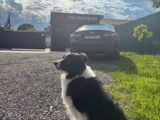 бачок гидроусилителя Volkswagen