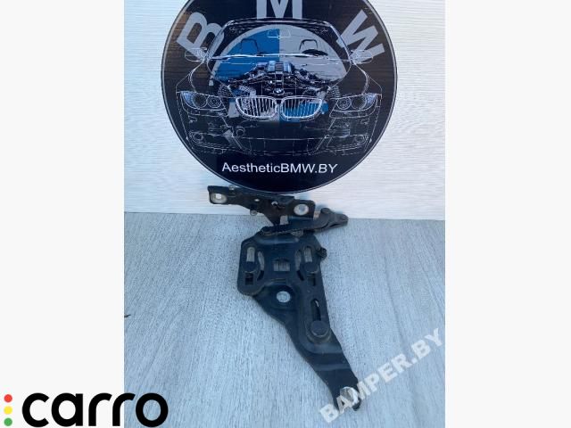 петля капота правая BMW X5 E70 2007, 3.0 л., дизель, АКПП, внедорожник 5 дв., 7148348 - фото №1